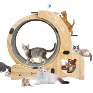 LovelyRLovely 6-in-1 Cat Fitness Wheel