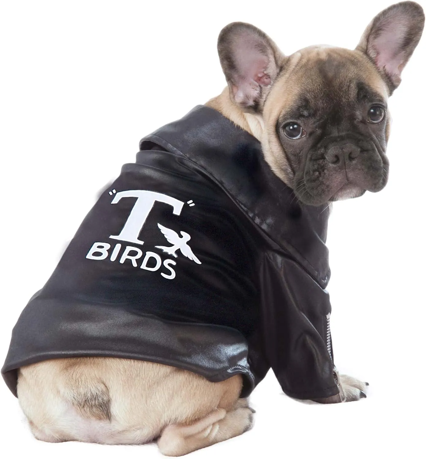 Rubie's Pet Grease T-Birds Jacket Costume